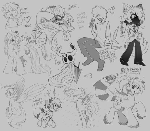 sketch